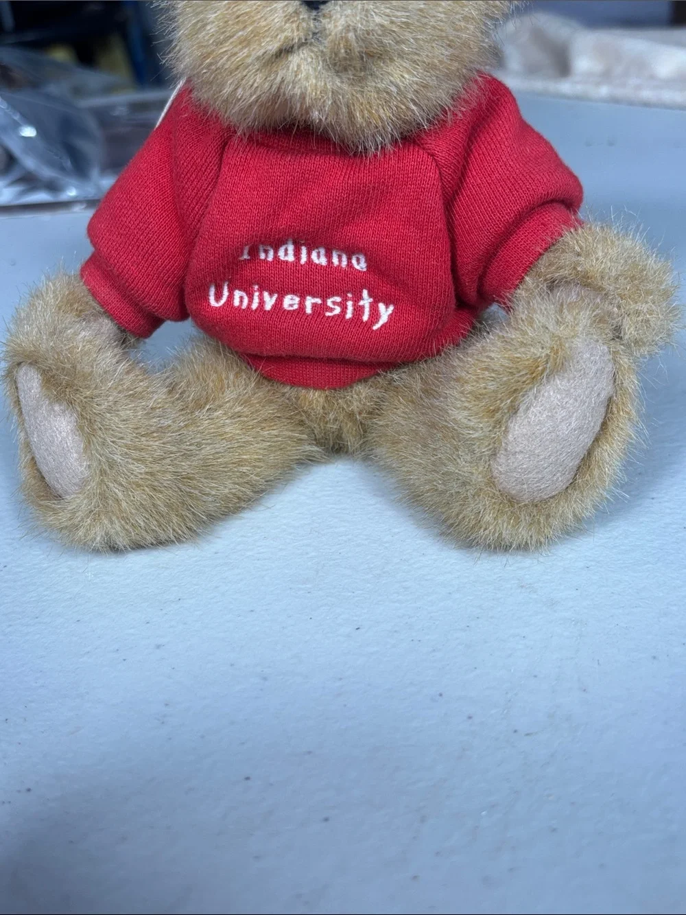 Boyds Head Bean Indiana University Teddy Bear Plush IU Hoosiers 5” With Hang Tag - Picture 12 of 15